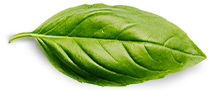 leaf divider